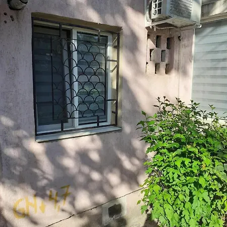 La&Emy 康斯坦察